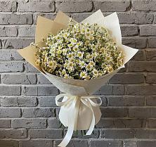 Букет цветов из:  Ромашки в Больших Салах