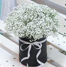 Цветочная композиция из Гипсофила в шляпной коробке #REPLACE_PRED# Больших Салах