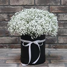 Цветочная композиция из Гипсофила в шляпной коробке #REPLACE_PRED# Больших Салах