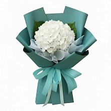 Букет цветов из:  Гортензия в Больших Салах